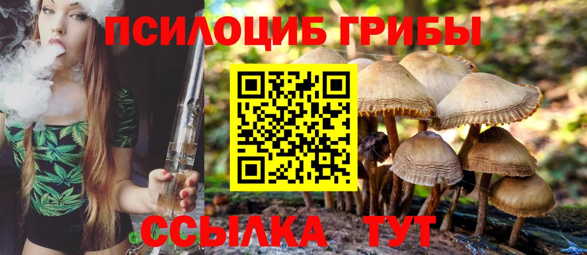 цены наркотик  Галлюциногенные грибы прущие грибы  Вход с VPN  Галлюциногенные грибы мицелий  Белово 