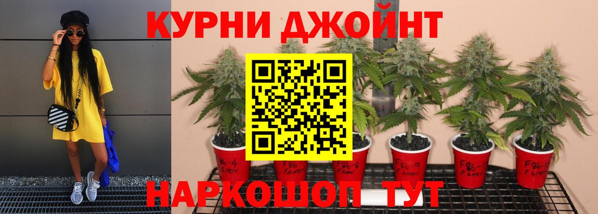 Бошки марихуана Ganja Белово